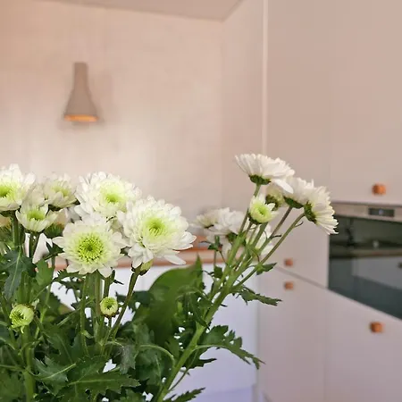 Cozy Graca Apartment Lisbon