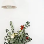 Cozy Graca Lisboa