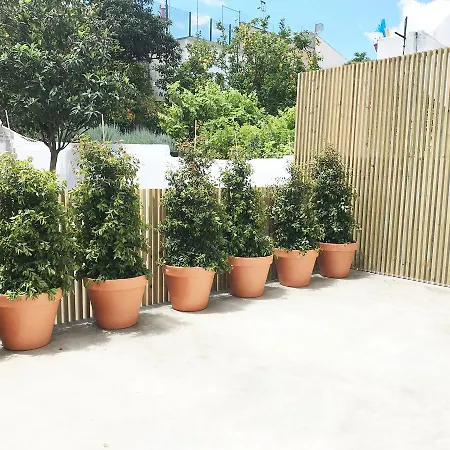 Cozy Graca リスボン