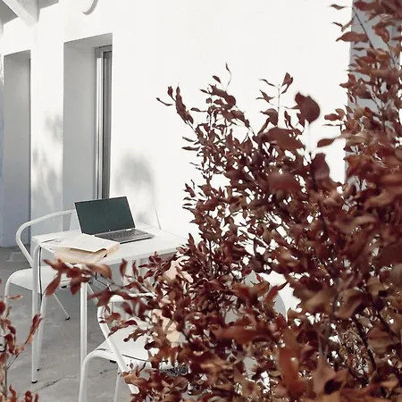 Apartment Cozy Graca Lisbon