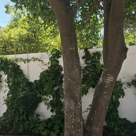 Cozy Graca * ליסבון