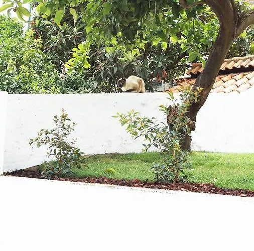 Διαμέρισμα Cozy Graca *